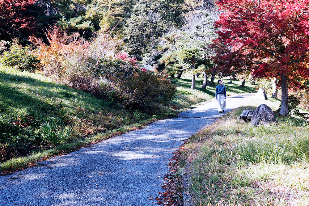 県民の森