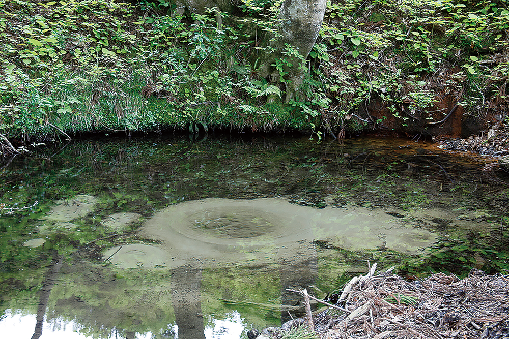 五番御神酒（ごばんみき）