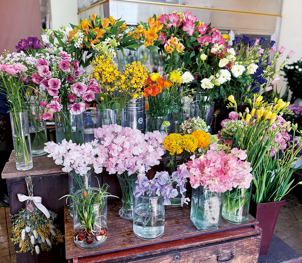 フラワーこすもす