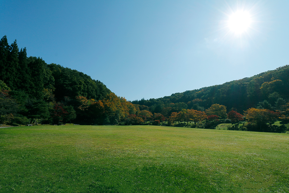 県民の森