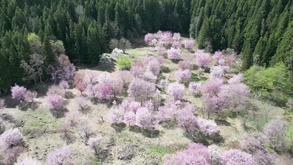 作谷沢ふれあいの丘