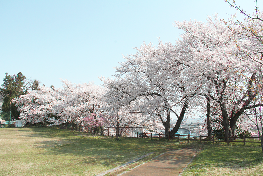 大寺ふれあい公園